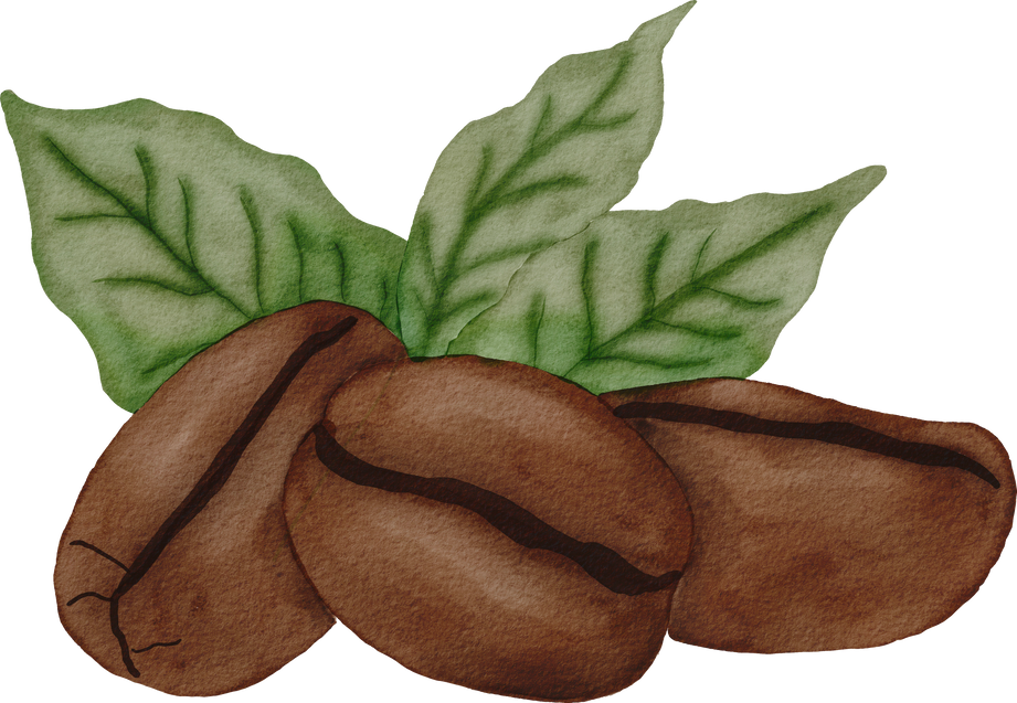 Coffee beans watercolor